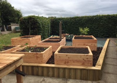 raised beds 1a